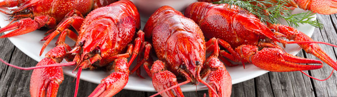 crawfish